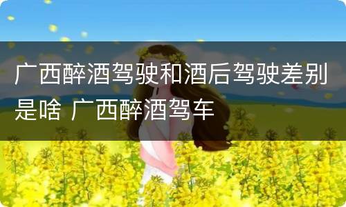 广西醉酒驾驶和酒后驾驶差别是啥 广西醉酒驾车