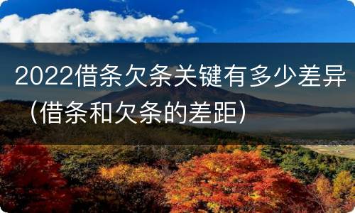 2022借条欠条关键有多少差异（借条和欠条的差距）