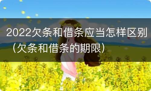 2022欠条和借条应当怎样区别（欠条和借条的期限）
