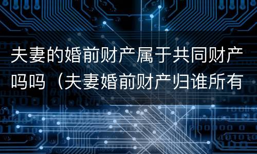 夫妻的婚前财产属于共同财产吗吗（夫妻婚前财产归谁所有）