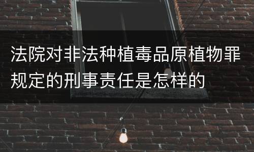 法院对非法种植毒品原植物罪规定的刑事责任是怎样的
