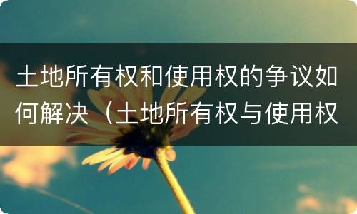 土地所有权和使用权的争议如何解决（土地所有权与使用权争议处理）