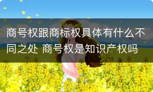 商号权跟商标权具体有什么不同之处 商号权是知识产权吗