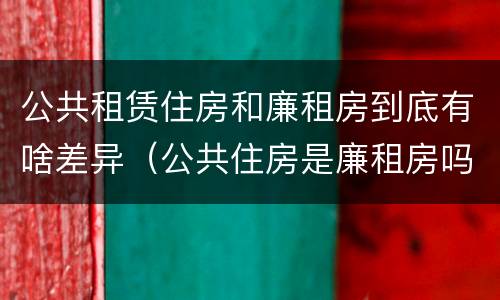 公共租赁住房和廉租房到底有啥差异（公共住房是廉租房吗）
