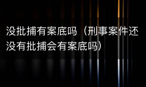 没批捕有案底吗（刑事案件还没有批捕会有案底吗）