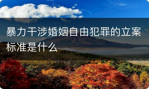 暴力干涉婚姻自由犯罪的立案标准是什么