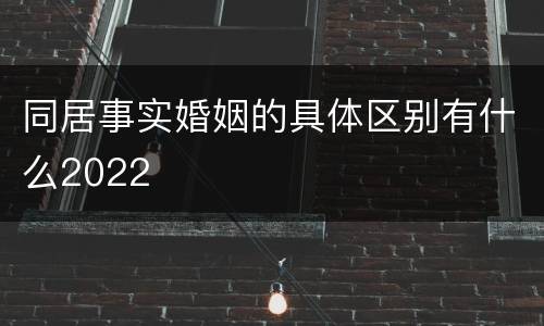 同居事实婚姻的具体区别有什么2022