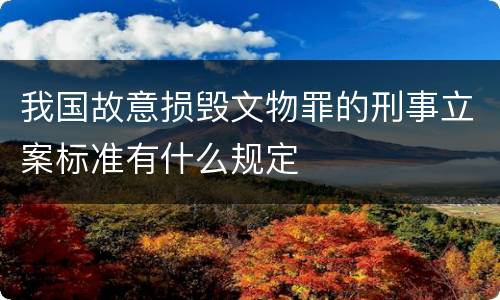 我国故意损毁文物罪的刑事立案标准有什么规定