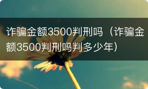 诈骗金额3500判刑吗（诈骗金额3500判刑吗判多少年）