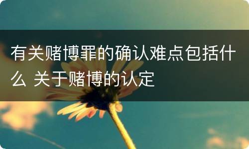 有关赌博罪的确认难点包括什么 关于赌博的认定