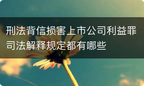 刑法背信损害上市公司利益罪司法解释规定都有哪些