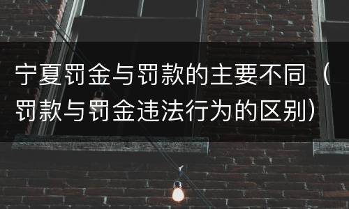 宁夏罚金与罚款的主要不同（罚款与罚金违法行为的区别）