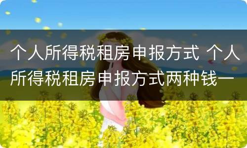 个人所得税租房申报方式 个人所得税租房申报方式两种钱一样吗