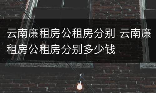 云南廉租房公租房分别 云南廉租房公租房分别多少钱