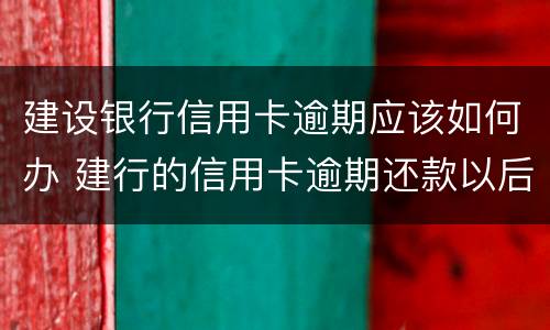 建设银行信用卡逾期应该如何办 建行的信用卡逾期还款以后多久能使用