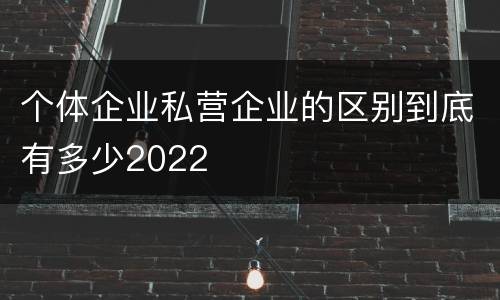 个体企业私营企业的区别到底有多少2022
