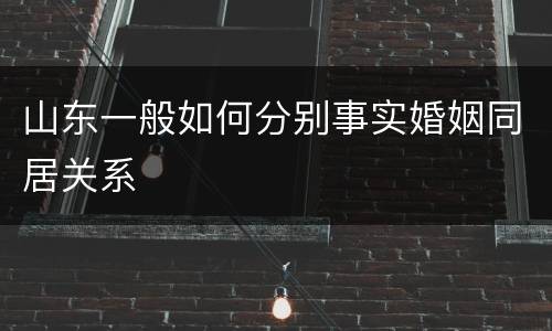山东一般如何分别事实婚姻同居关系