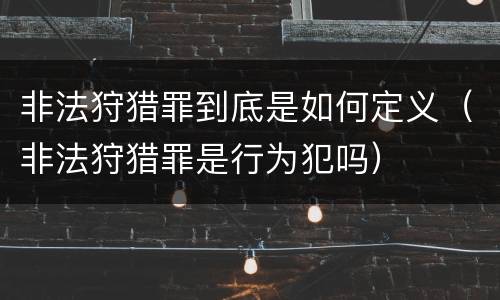 非法狩猎罪到底是如何定义（非法狩猎罪是行为犯吗）