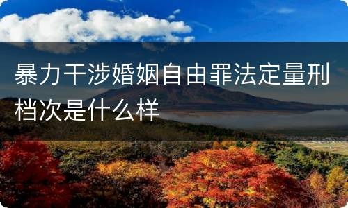 暴力干涉婚姻自由罪法定量刑档次是什么样