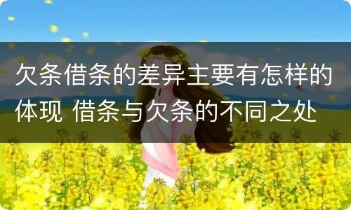 欠条借条的差异主要有怎样的体现 借条与欠条的不同之处
