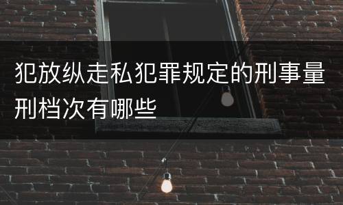 犯放纵走私犯罪规定的刑事量刑档次有哪些
