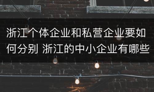 浙江个体企业和私营企业要如何分别 浙江的中小企业有哪些