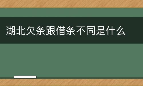 湖北欠条跟借条不同是什么