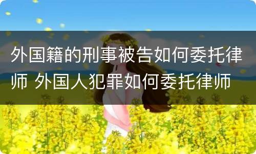 外国籍的刑事被告如何委托律师 外国人犯罪如何委托律师
