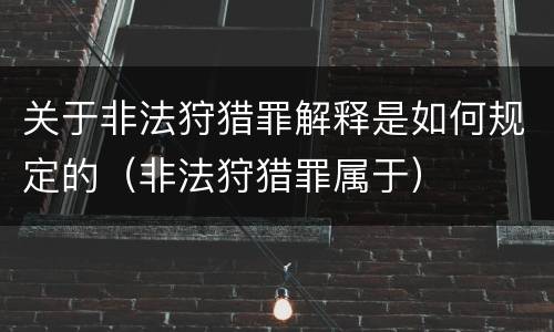 关于非法狩猎罪解释是如何规定的（非法狩猎罪属于）