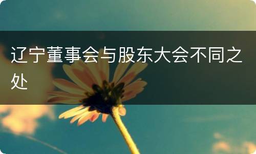 辽宁董事会与股东大会不同之处