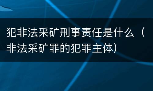 犯非法采矿刑事责任是什么（非法采矿罪的犯罪主体）