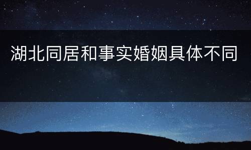 湖北同居和事实婚姻具体不同