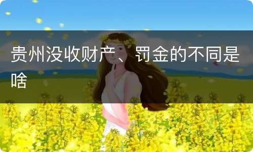 贵州没收财产、罚金的不同是啥