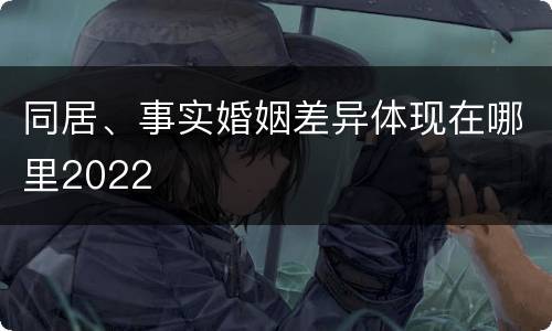同居、事实婚姻差异体现在哪里2022