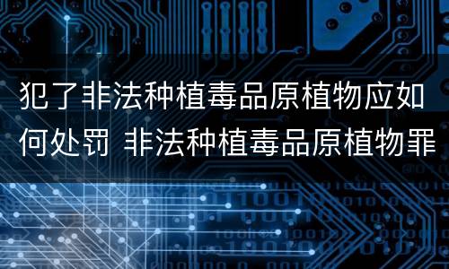 犯了非法种植毒品原植物应如何处罚 非法种植毒品原植物罪中的“种植”行为
