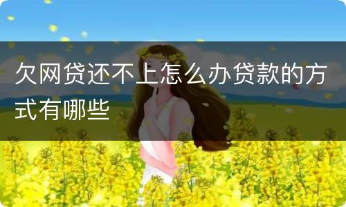 欠网贷还不上怎么办贷款的方式有哪些