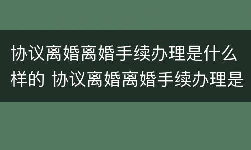 协议离婚离婚手续办理是什么样的 协议离婚离婚手续办理是什么样的程序