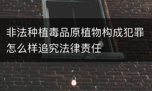 非法种植毒品原植物构成犯罪怎么样追究法律责任