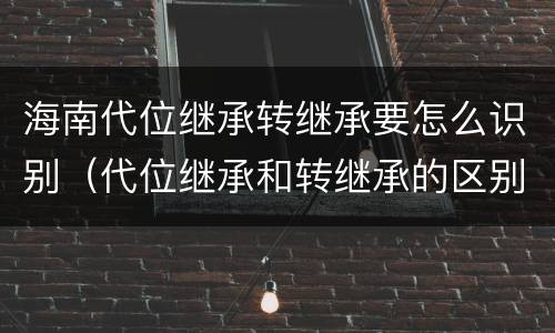 海南代位继承转继承要怎么识别（代位继承和转继承的区别民法典）