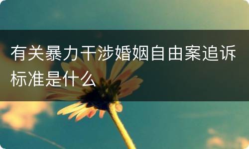 有关暴力干涉婚姻自由案追诉标准是什么