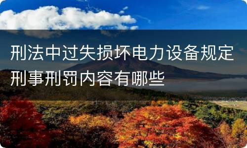 刑法中过失损坏电力设备规定刑事刑罚内容有哪些