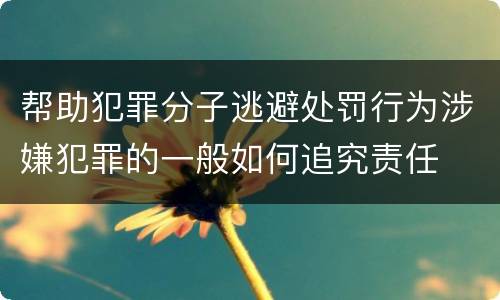帮助犯罪分子逃避处罚行为涉嫌犯罪的一般如何追究责任