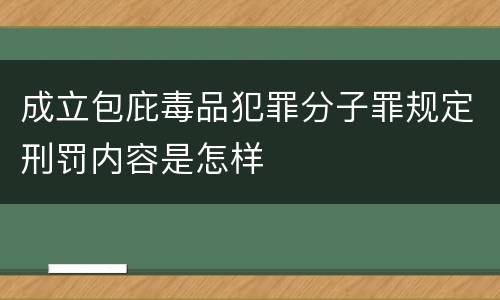 成立包庇毒品犯罪分子罪规定刑罚内容是怎样