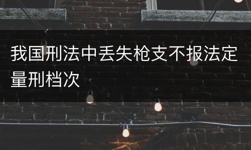 我国刑法中丢失枪支不报法定量刑档次