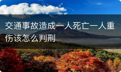 交通事故造成一人死亡一人重伤该怎么判刑