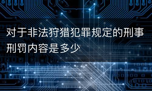 对于非法狩猎犯罪规定的刑事刑罚内容是多少