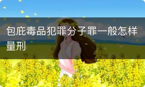包庇毒品犯罪分子罪一般怎样量刑