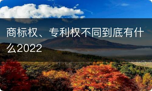 商标权、专利权不同到底有什么2022