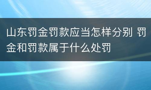 山东罚金罚款应当怎样分别 罚金和罚款属于什么处罚