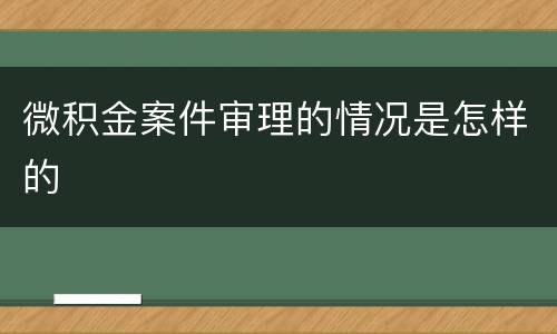微积金案件审理的情况是怎样的